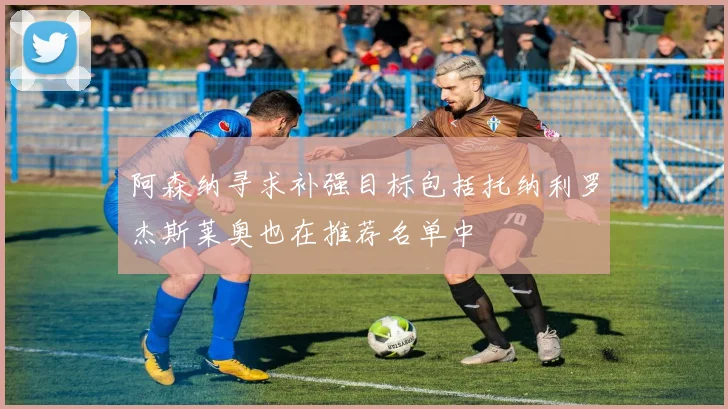 阿森纳寻求补强目标包括托纳利罗杰斯莱奥也在推荐名单中